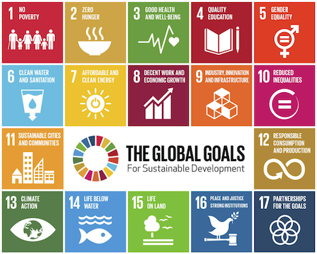 green-skills-class-10-it-17-sustainable-development-goals