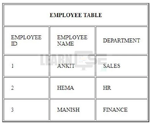 Class-10-CA-Code-165-Sample-Question-Paper-2025